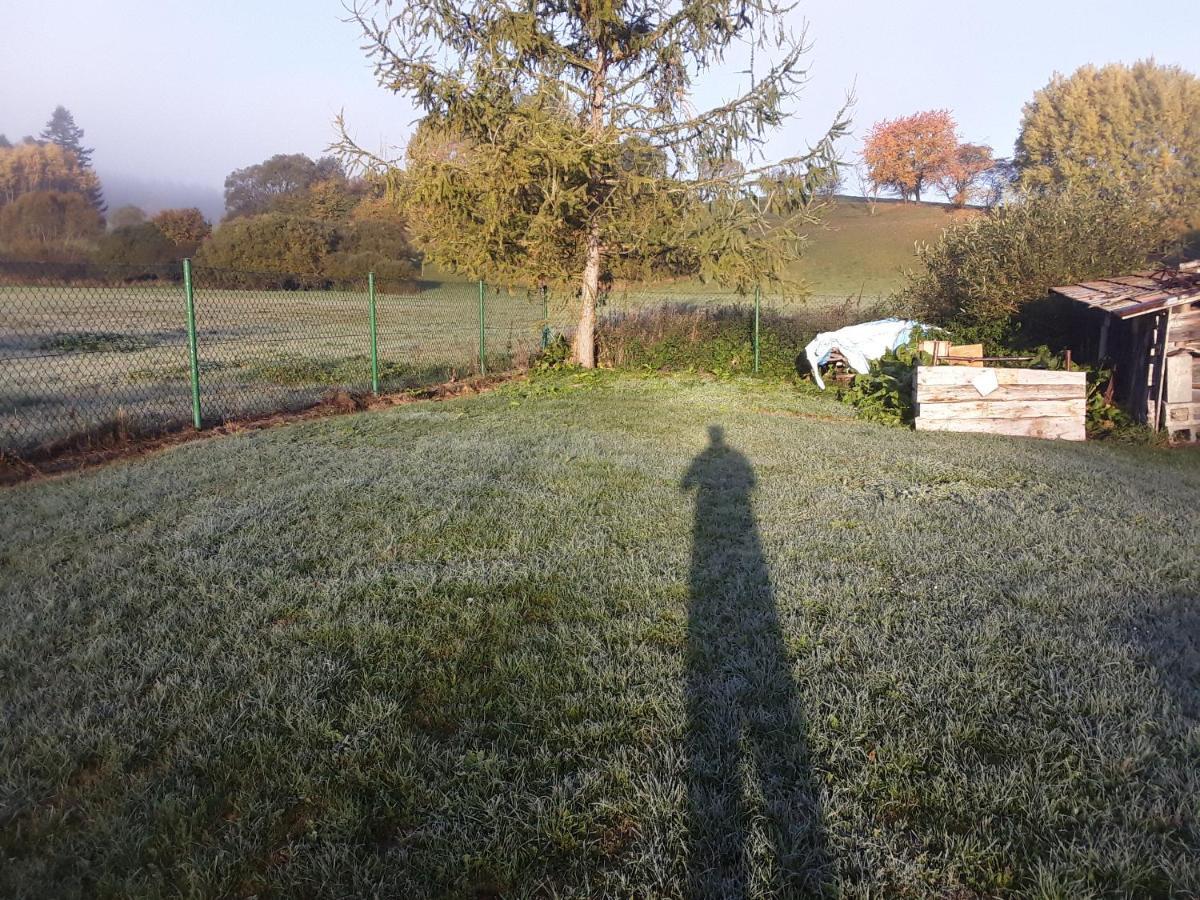 Waszczyszynowka Bieszczady Villa Bandrow Narodowy Dış mekan fotoğraf